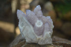 Natural Mixed Spirit Quartz Clusters  x 12 From Boekenhouthoek, South Africa - Toprock Gemstones and Minerals 