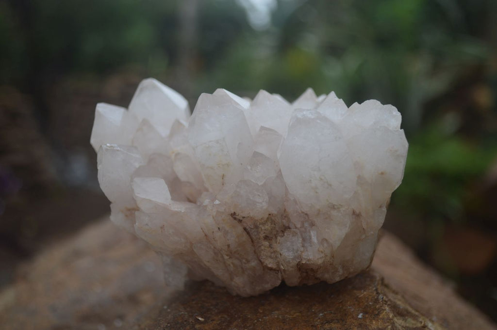 Natural Mixed Quartz Clusters  x 4 From Madagascar - Toprock Gemstones and Minerals 