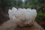 Natural Mixed Quartz Clusters  x 4 From Madagascar - Toprock Gemstones and Minerals 
