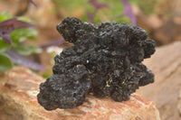 Natural Schorl Black Tourmaline Specimens x 2 From Erongo, Namibia - Toprock Gemstones and Minerals 