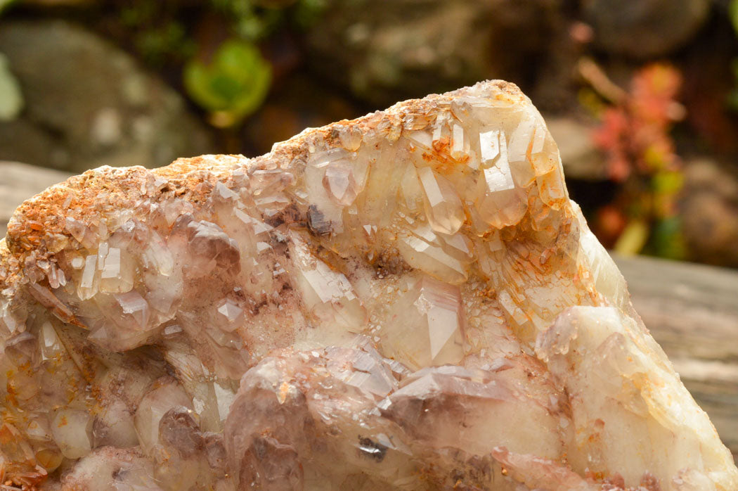 Natural Self Healed Red Hematoid Phantom Quartz Floater Specimen  x 1 From Karoi, Zimbabwe - TopRock