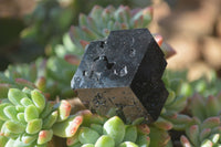 Natural Schorl Black Tourmaline Specimens x 12 From Erongo, Namibia