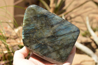 Polished Labradorite Standing Free Forms With Blue & Gold Flash  x 2 From Tulear, Madagascar - TopRock