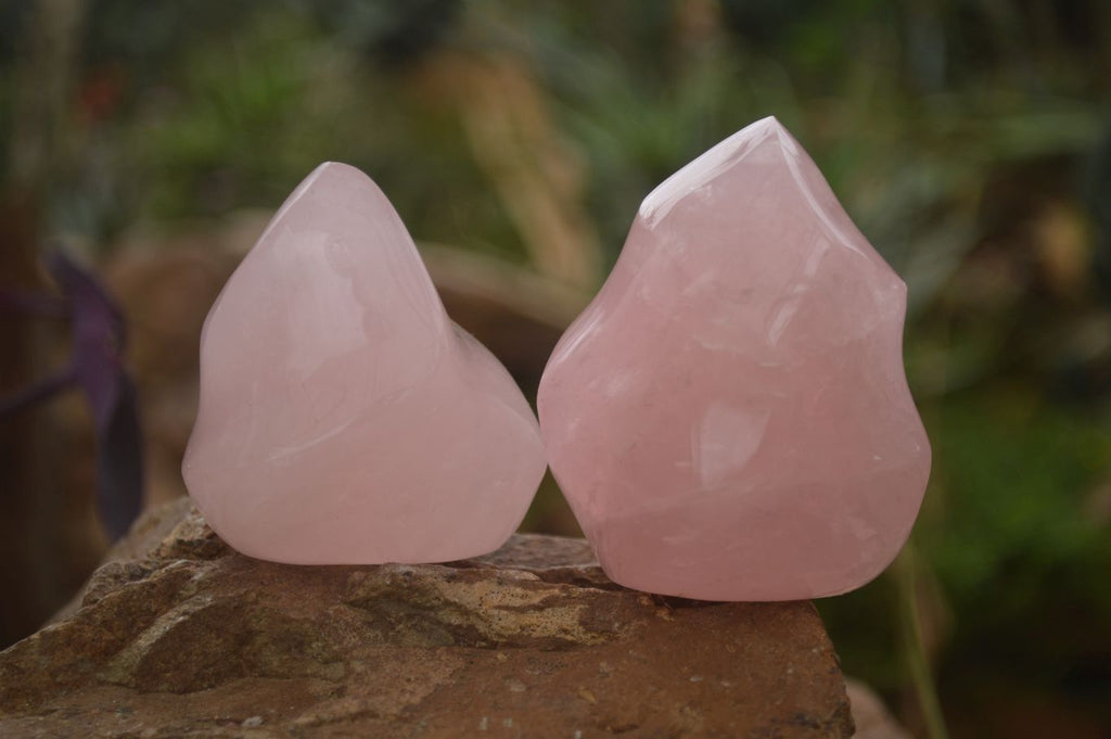 Polished Pink Rose Quartz Flame Sculptures x 6 From Antsirabe, Madagascar - Toprock Gemstones and Minerals 