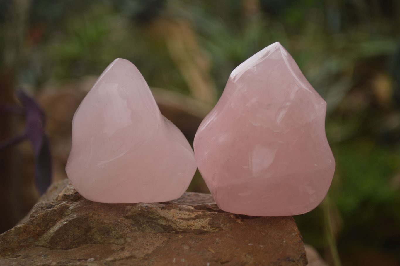 Polished Pink Rose Quartz Flame Sculptures x 6 From Antsirabe, Madagascar - Toprock Gemstones and Minerals 