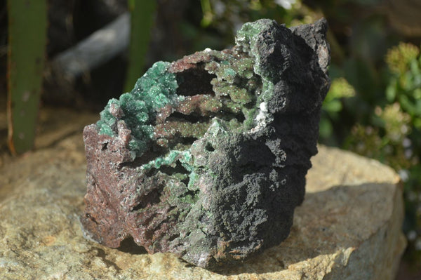 Natural Stunning Drusy Quartz Coated Malachite Dolomite Specimen x 1 From Likasi, Congo - Toprock Gemstones and Minerals 