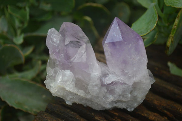 Natural Jacaranda Amethyst Clusters  x 3 From Mumbwa, Zambia - Toprock Gemstones and Minerals 