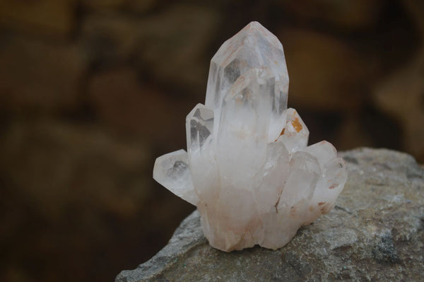 Natural Small Clear Quartz Clusters  x 24 From Madagascar - Toprock Gemstones and Minerals 