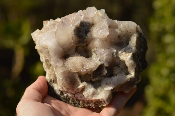 Natural Dog Tooth Calcite On Drusy Quartz Specimen x 1 From Albert's Mountain, Lesotho - TopRock