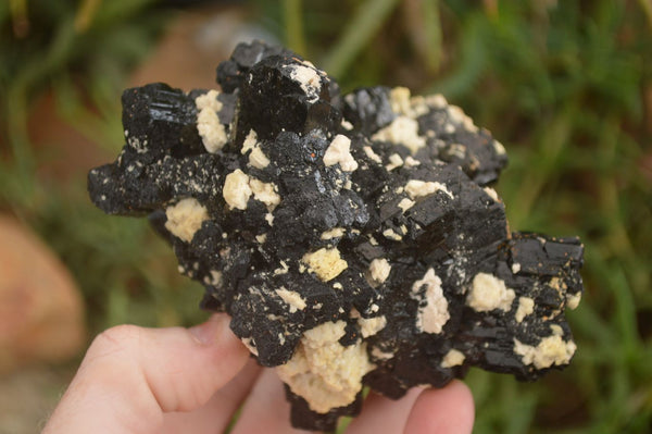 Natural Schorl Black Tourmaline Specimens x 2 From Erongo, Namibia - Toprock Gemstones and Minerals 