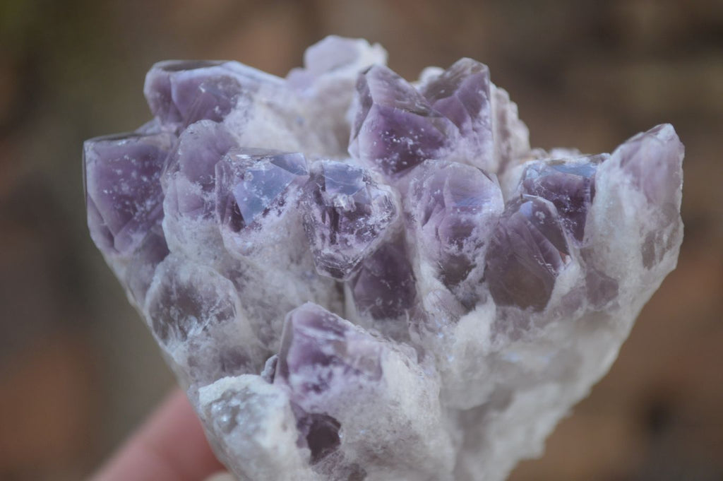Natural Sugar Amethyst Clusters  x 6 From Solwezi, Zambia - Toprock Gemstones and Minerals 