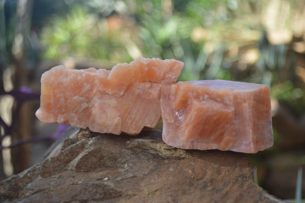 Natural New Sunset Orange Calcite Specimens  x 12 From Spitzkop, Namibia - Toprock Gemstones and Minerals 