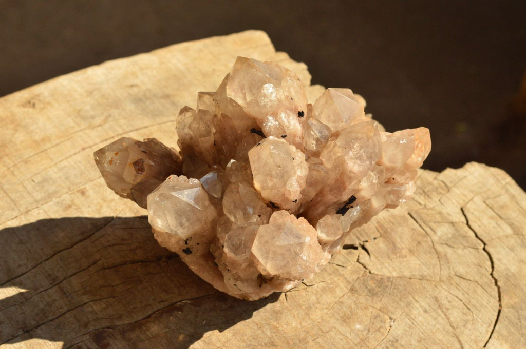 Natural Smokey Phantom Quartz Clusters  x 2 From Luena, Congo - TopRock