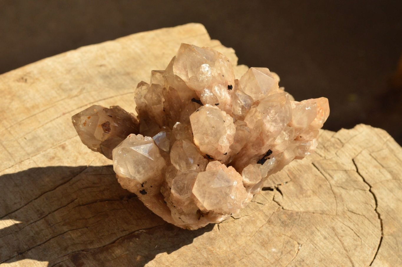 Natural Smokey Phantom Quartz Clusters  x 2 From Luena, Congo - TopRock