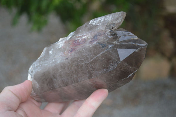 Natural Large Smokey Quartz Crystals  x 2 From Mulanje, Malawi
