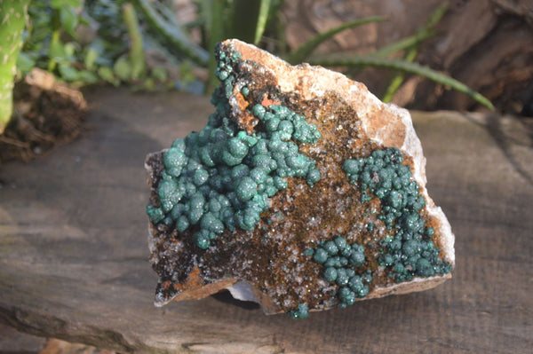 Natural Extra Large Rare Ball Malachite On Quartz & Dolomite Matrix  x 1 From Kambove, Congo - Toprock Gemstones and Minerals 
