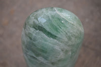 Polished Emerald Fluorite Standing Free Form  x 1 From Madagascar