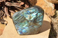Polished Labradorite Standing Free Forms With Blue & Gold Flash  x 2 From Tulear, Madagascar - TopRock