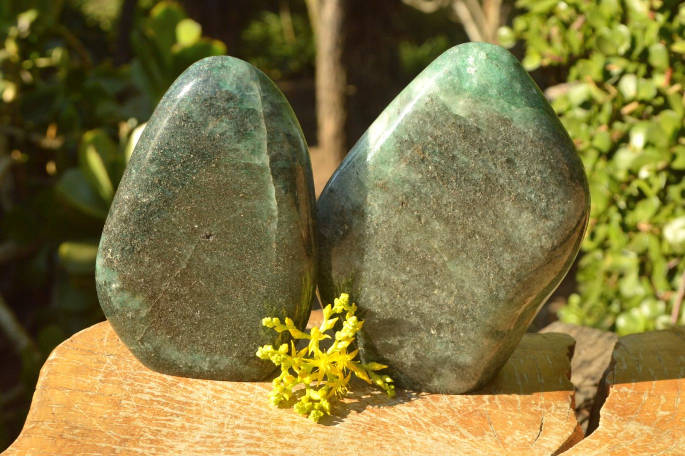 Polished Green Fuchsite Quartz Standing Free Forms x 2 From Madagascar - TopRock