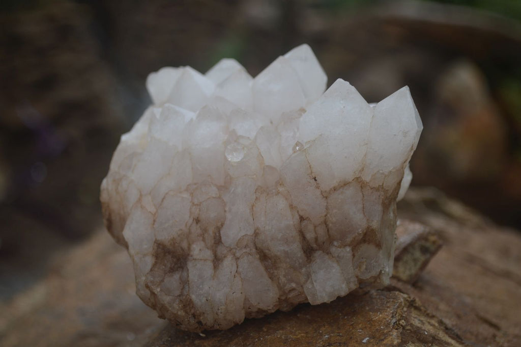 Natural Mixed Quartz Clusters  x 4 From Madagascar - Toprock Gemstones and Minerals 