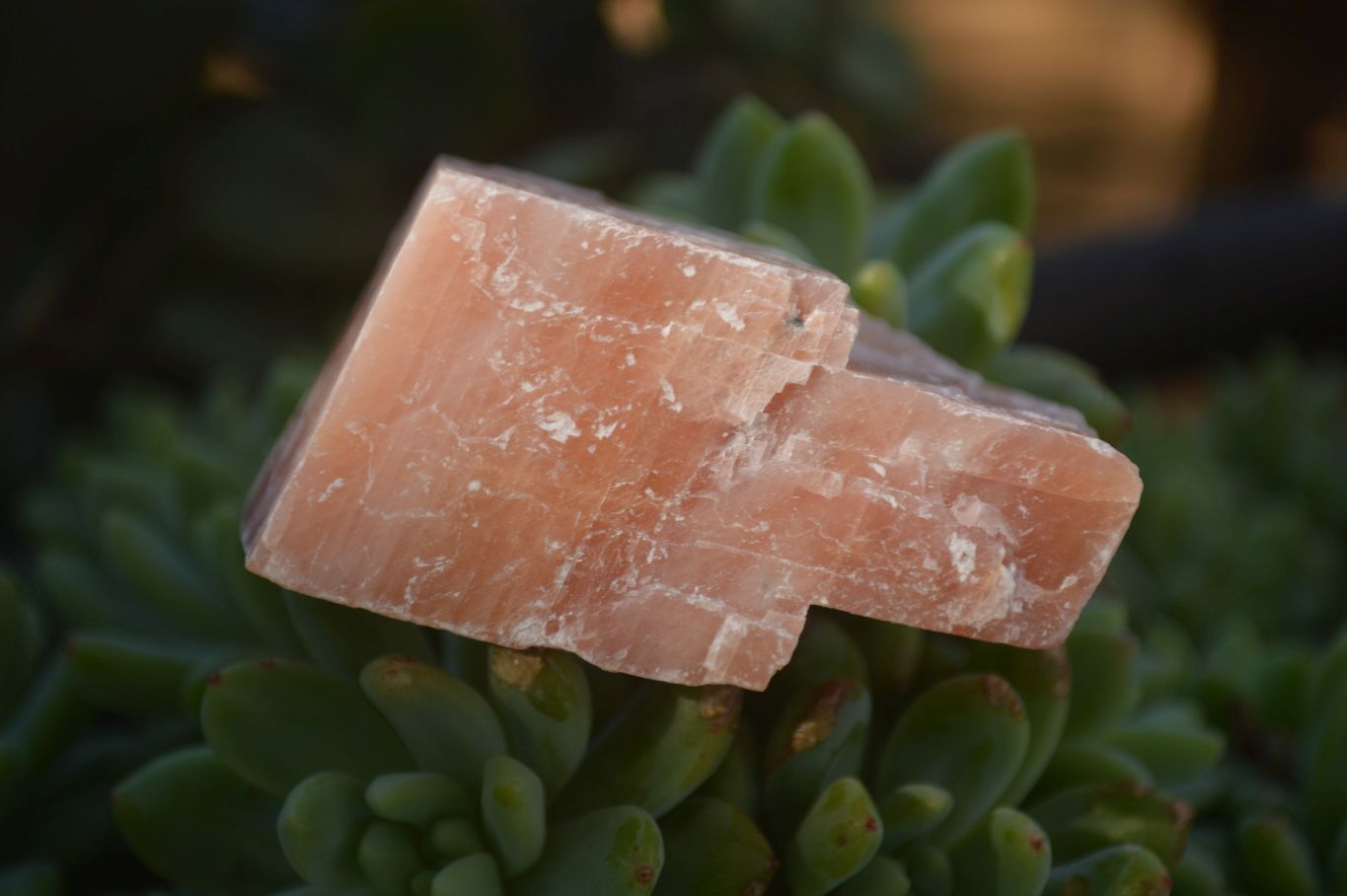 Natural New Sunset Orange Calcite Specimens  x 24 From Spitzkoppe, Namibia - Toprock Gemstones and Minerals 