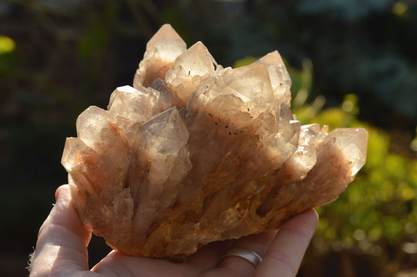 Natural Smokey Phantom Quartz Clusters  x 2 From Luena, Congo - TopRock