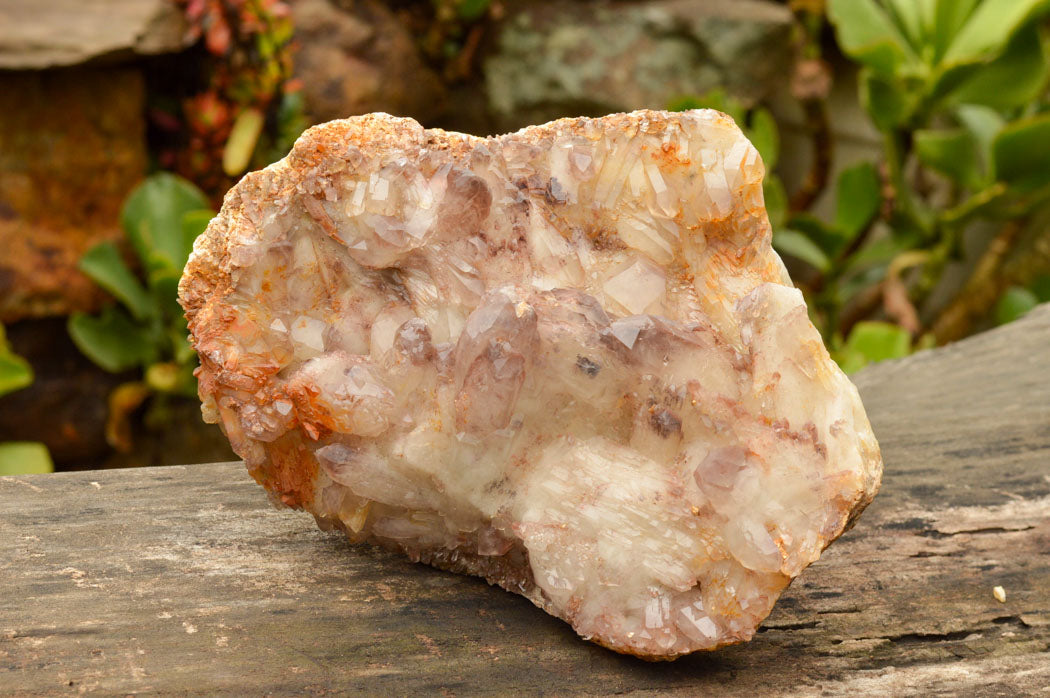 Natural Self Healed Red Hematoid Phantom Quartz Floater Specimen  x 1 From Karoi, Zimbabwe - TopRock