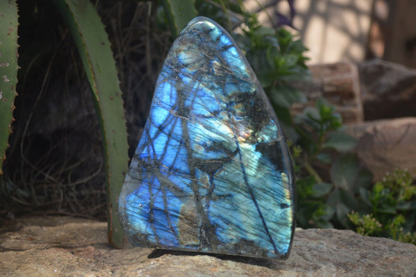 Polished Extra Large Labradorite Display Piece With Full Face Flash  x 1 From Tulear, Madagascar - Toprock Gemstones and Minerals 