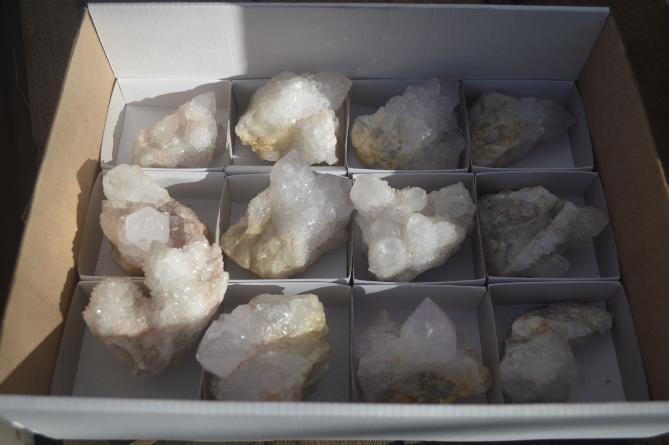 Natural White Cactus Flower Spirit Quartz Specimens x 12 From Boekenhouthoek, South Africa - Toprock Gemstones and Minerals 