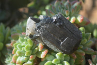 Natural Schorl Black Tourmaline Specimens x 12 From Erongo, Namibia