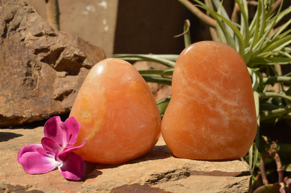 Polished Orange Twist Calcite Standing Free Forms  x 2 From Madagascar - TopRock