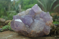 Natural Jacaranda Amethyst Cluster x 1 From Mumbwa, Zambia - TopRock