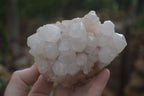 Natural Mixed Quartz Clusters  x 4 From Madagascar - Toprock Gemstones and Minerals 