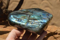 Polished Labradorite Standing Free Forms With Blue & Gold Flash  x 2 From Tulear, Madagascar - TopRock