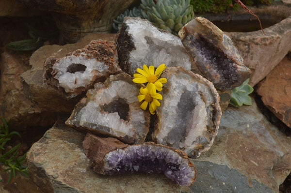Natural Crystal & Amethyst Centred Geodes  x 6 From Zululand, South Africa - TopRock