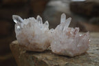 Natural Small Clear Quartz Clusters  x 24 From Madagascar - Toprock Gemstones and Minerals 