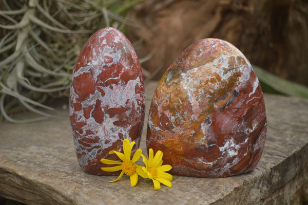 Polished Gorgeous Patterned Red Jasper Standing Free Forms  x 2 From Madagascar - TopRock