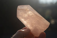 Polished Gemmy Rose Quartz Points x 6 From Antsirabe, Madagascar - Toprock Gemstones and Minerals 