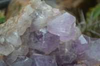 Natural Jacaranda Amethyst Cluster x 1 From Mumbwa, Zambia - TopRock