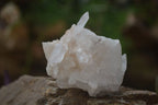 Natural Small Clear Quartz Clusters  x 24 From Madagascar - Toprock Gemstones and Minerals 