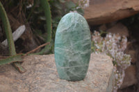 Polished Emerald Fluorite Standing Free Form  x 1 From Madagascar