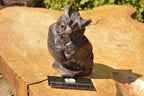 Polished Hand Carved Beautiful Purple Lepidolite Owl x 1 From Zimbabwe - TopRock