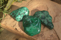 Polished Malachite Free Form x 1 From Kolwezi, Congo - Toprock Gemstones and Minerals 