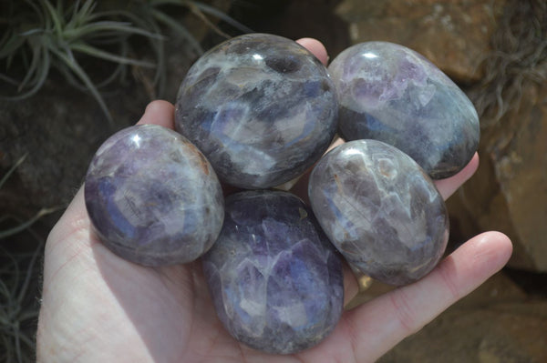 Polished Smokey Dream Amethyst Palm Stones  x 12 From Madagascar - Toprock Gemstones and Minerals 
