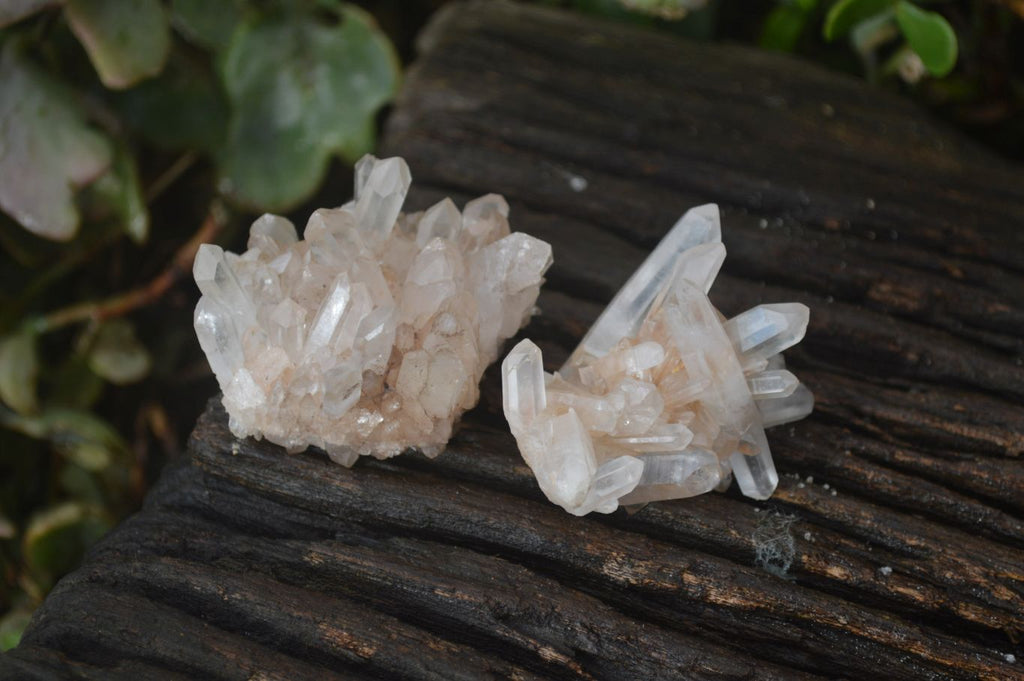Natural Small Clear Quartz Clusters  x 24 From Madagascar - Toprock Gemstones and Minerals 