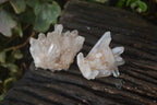 Natural Small Clear Quartz Clusters  x 24 From Madagascar - Toprock Gemstones and Minerals 