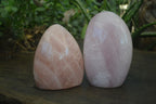 Polished Rose Quartz Standing Free Forms x 2 From Antsirabe, Madagascar - Toprock Gemstones and Minerals 