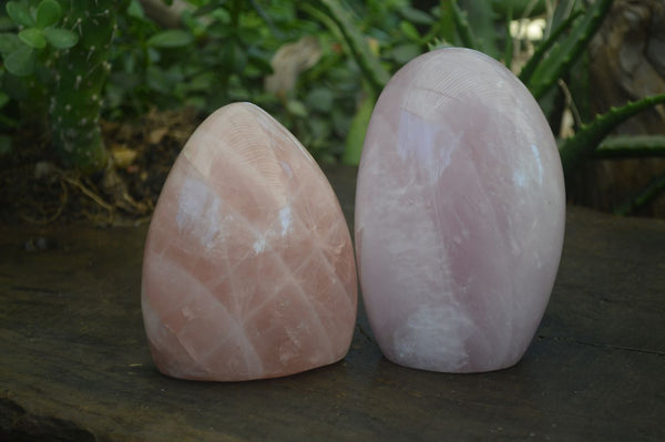 Polished Rose Quartz Standing Free Forms x 2 From Antsirabe, Madagascar - Toprock Gemstones and Minerals 