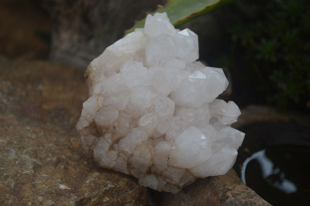 Natural Mixed Quartz Clusters  x 4 From Madagascar - Toprock Gemstones and Minerals 