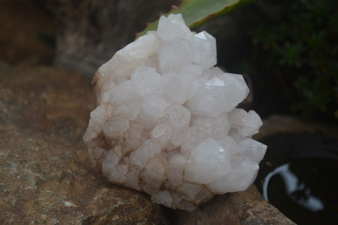 Natural Mixed Quartz Clusters  x 4 From Madagascar - Toprock Gemstones and Minerals 